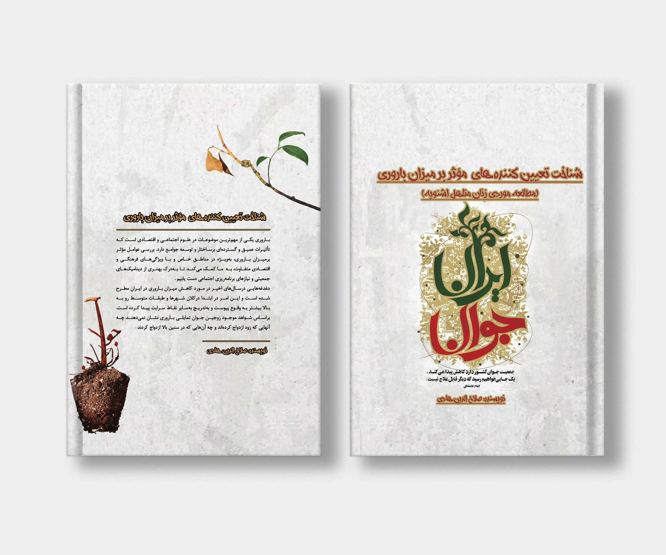 جلد کتاب شناخت تعیین کننده های موثر برمیزان باروری: مطالعه موردی زنان متاهل اشنویه نوشته صلاح الدین هادی